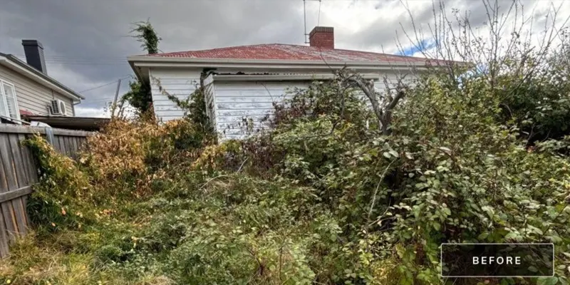 garden-before